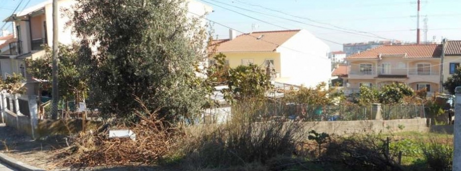 Detalhe